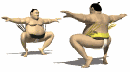 sumo